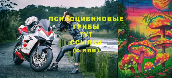 эйфоретик Вязники