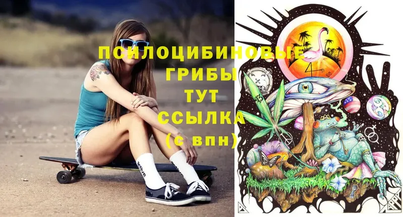 Галлюциногенные грибы MAGIC MUSHROOMS  наркота  Курган 